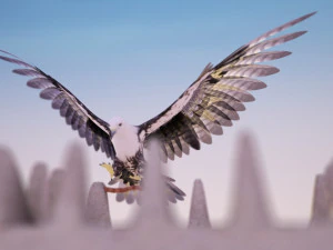 flying falcon animation in traditional heritage building desert 3D Model
