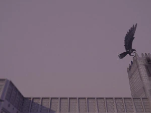 flying falcon animation in traditional heritage building desert 3D Model