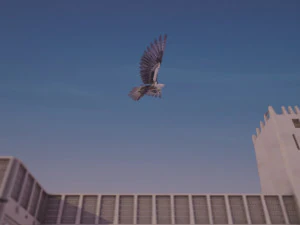 flying falcon animation in traditional heritage building desert 3D Model