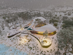 Organic architecture beach villa house Lumion render Bonus Revit Modello 3D