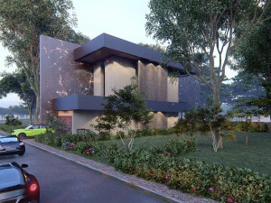 Modern house full project Revit and Lumion with 3d grass 3D Model