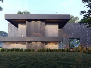 Modern house full project Revit and Lumion with 3d grass 3D Model