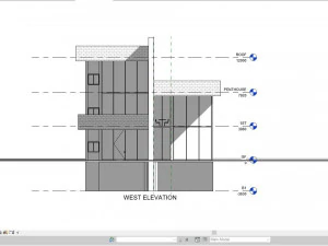 Modern house full project Revit and Lumion with 3d grass 3D Model
