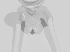 Janitor little nightmares 3D Print Model