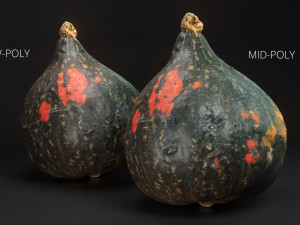 exotic pumpkin game-ready photoscan 01 3D Model