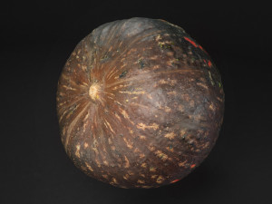exotic pumpkin game-ready photoscan 01 3D Model