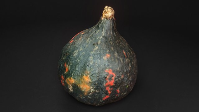 exotic pumpkin game-ready photoscan 01 3D Model .c4d .max .obj .3ds .fbx .stl .blend 