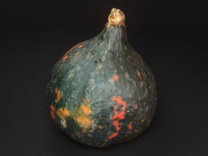 エキゾチックなカボチャのゲーム対応フォトスキャン 01 3Dモデル