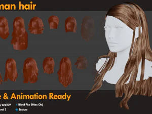 21 女人的头发 3D 模型