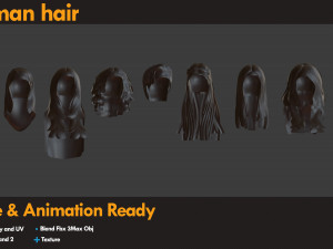 21 Woman Hair 3D Модель