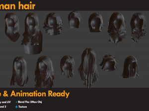 21 Woman Hair 3D Модель