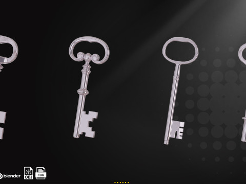 20 Traditional key 3D Model