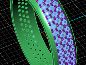 Jewelry Ring 3D Model