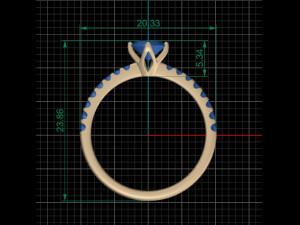 Ring 3D Model
