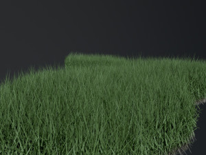 Lawn Svan 3D Model