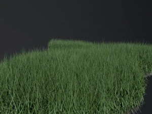 Lawn Svan 3D Model