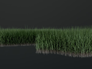 Lawn Svan 3D Model