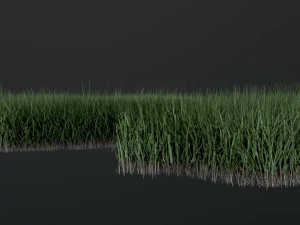 Lawn Svan 3D Model