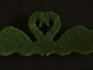 Lawn Svan 3D Model