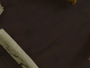 paper scrolls animated 3D Model