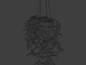 pothos pot plants 3D मॉडल