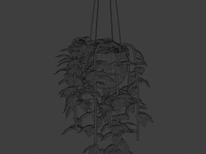 pothos pot plants 3D Model