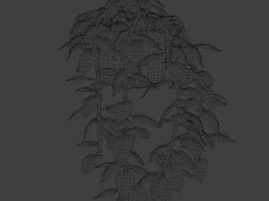 pothos pot plants 3D Model