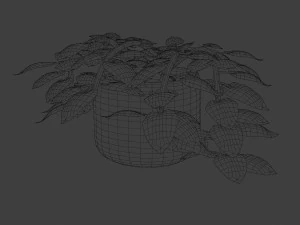 pothos pot plants 3D Model