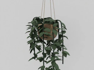 pothos pot plants 3D Model