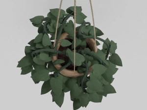 pothos pot plants 3D Model
