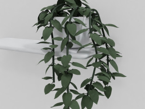 pothos pot plants 3D मॉडल