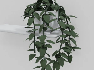 pothos pot plants 3D Model