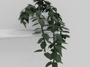pothos pot plants 3D मॉडल
