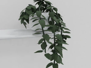 pothos pot plants 3D Model