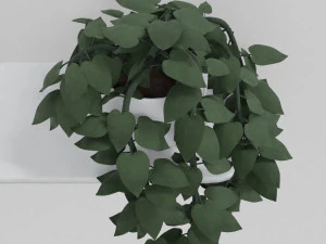 pothos pot plants 3D Model