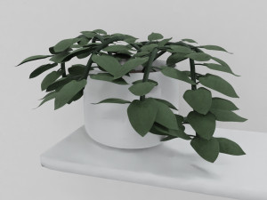 pothos pot plants 3D मॉडल