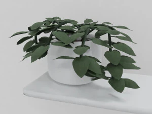 pothos pot plants 3D Model