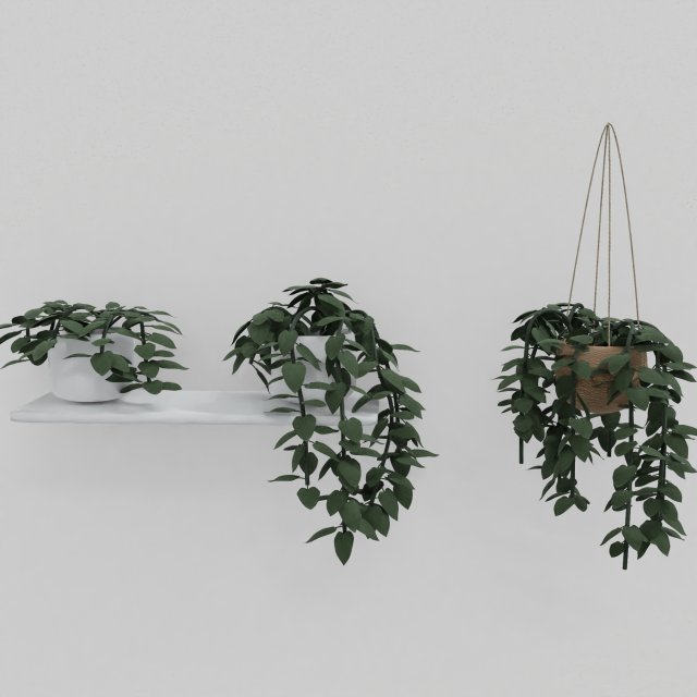 pothos pot plants 3D मॉडल .c4d .max .obj .3ds .fbx .stl .blend 
