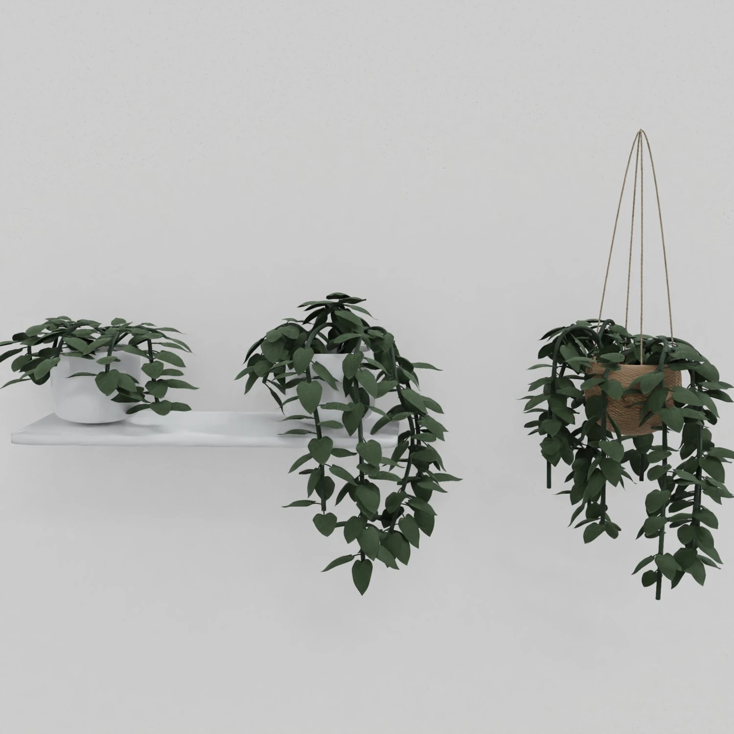 pothos pot plants 3D Model .c4d .max .obj .3ds .fbx .stl .blend
