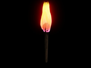 animated fire torches with looping animation Model 3D