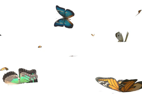 Butterflies looping animation VR - AR - low-poly 3D Model