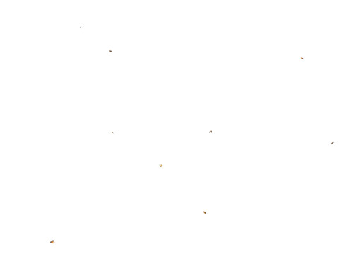 Butterflies looping animation VR - AR - low-poly 3D Model