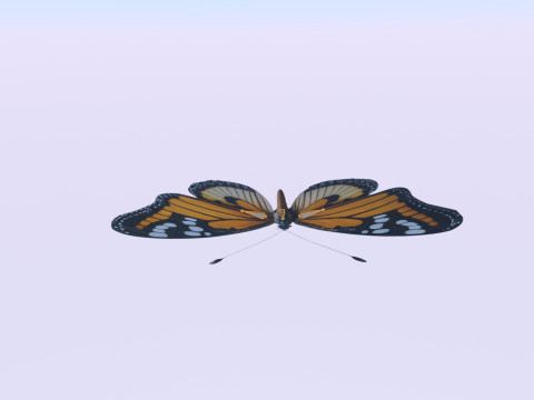 Butterflies looping animation VR - AR - low-poly 3D Model