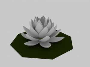 lilia Modèle 3D