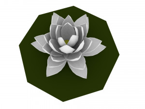 lilia 3D 模型