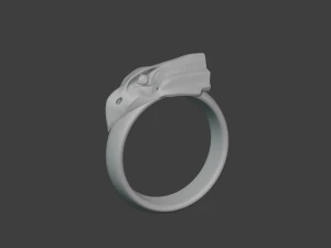Ring of Aquila 3D Model