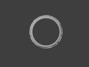 Ring of health Model 3D