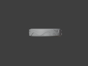 Ring of health Model 3D