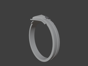 Ring of protection Modelo 3D