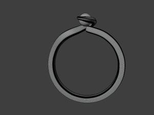 Ring of regen 3D Model
